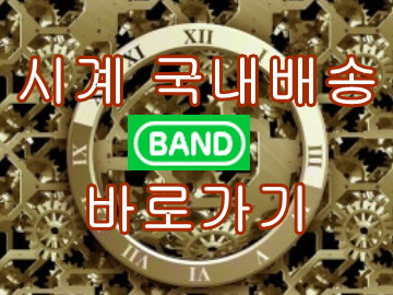 꾸미기_시계밴드.jpg