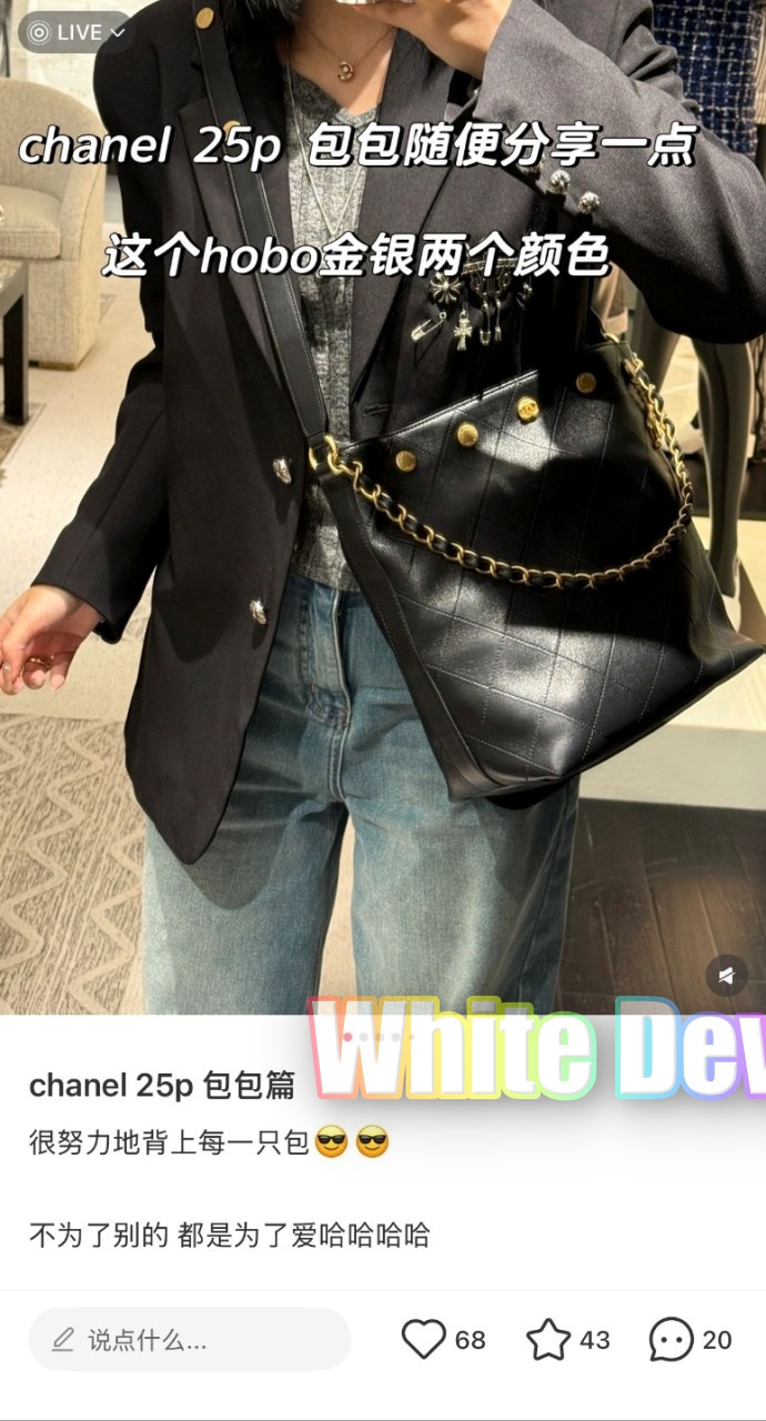 하얀악마 샤넬 호보백 (2).jpg